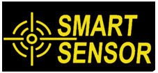 Smart Sensor AS 1392 Radyasyon Ölçer EMF Cihazı