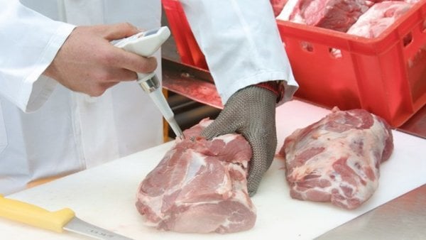 Testo 205 Başlangıç Seti - yarı katı maddeler için pH/sıcaklık ölçüm cihazı (pH metre)