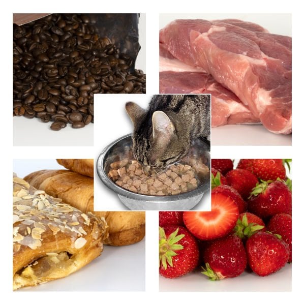 PCE-WAM 60-KIT AW-Su Aktivitesi Ölçüm Cihazı