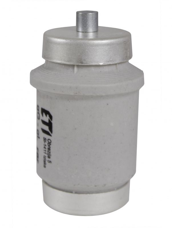 Eti DIV gG 100A/500V