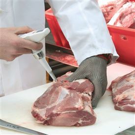 Testo 205 Ph ve Sıcaklık Ölçüm Cihazı