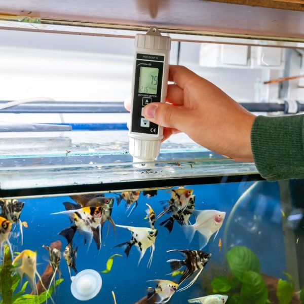 PCE-DOM 10 Oksijen Ölçer