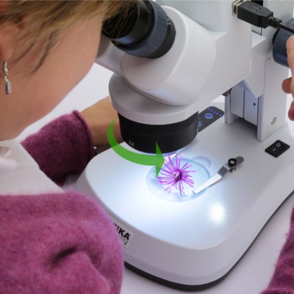 OPTIKA SFX-51 Binoküler Stereo Mikroskop