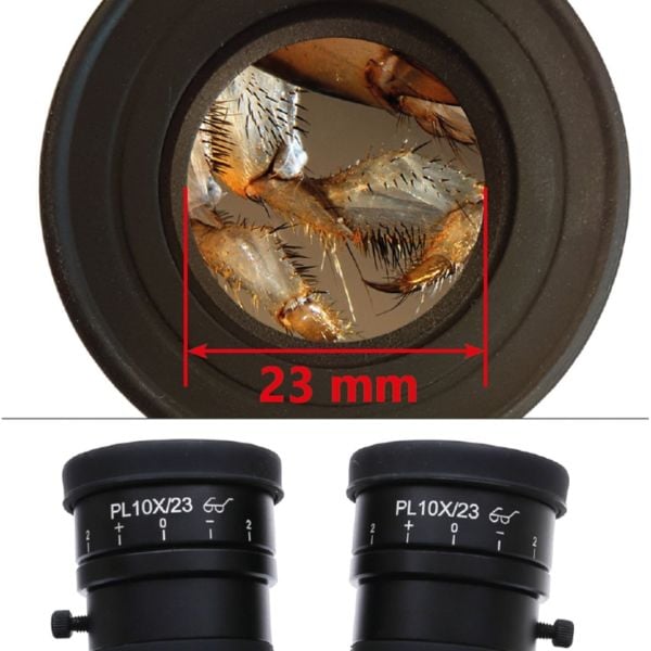 OPTIKA SZX-TA Trinoküler Stereo Zoom Başlık - 6.5x-55x Mikroskop Başlığı